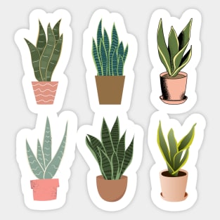 Snake Plant | 6 pots Sticker